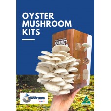 BULK RETAIL GROWER PACK Mushroom Kits x 9 Kits IN GIFT BOXES upto 3 types  - FREE Shipping to 90% of Australia - No Po Boxes
